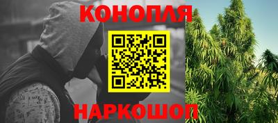 гидропоника Краснокаменск
