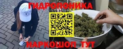 гидропоника Краснокаменск