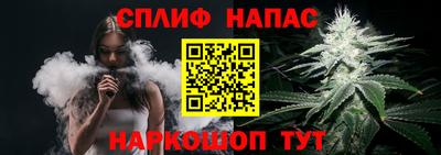 гидра Краснознаменск