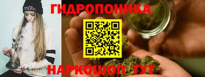 гидра Краснознаменск