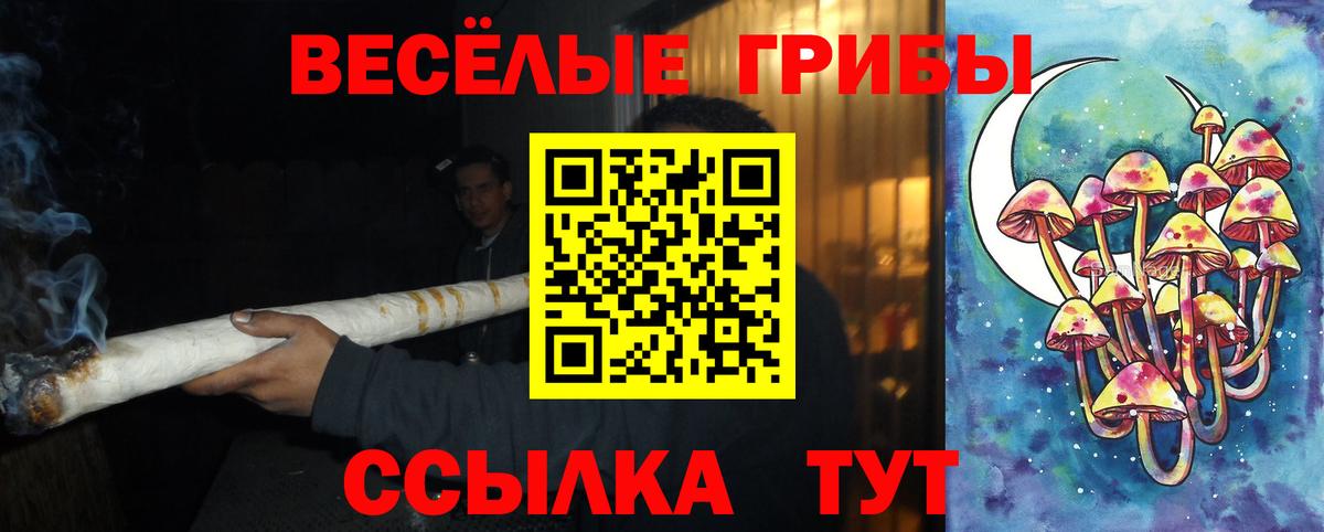 Псилоцибиновые грибы GOLDEN TEACHER Гусиноозёрск